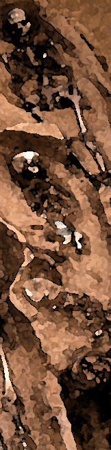 Sidebar